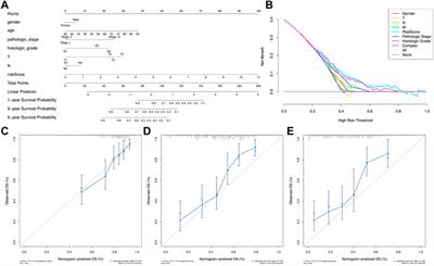 Metal-dependent programmed cell death-related lncRNA prognostic signatures and natural drug sensitivity prediction for gastric cancer